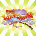 The Waterboys Book Of Lightning