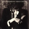 The Waterboys This Is The Sea